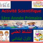 Activité Scientifique 1ère Année Primaire