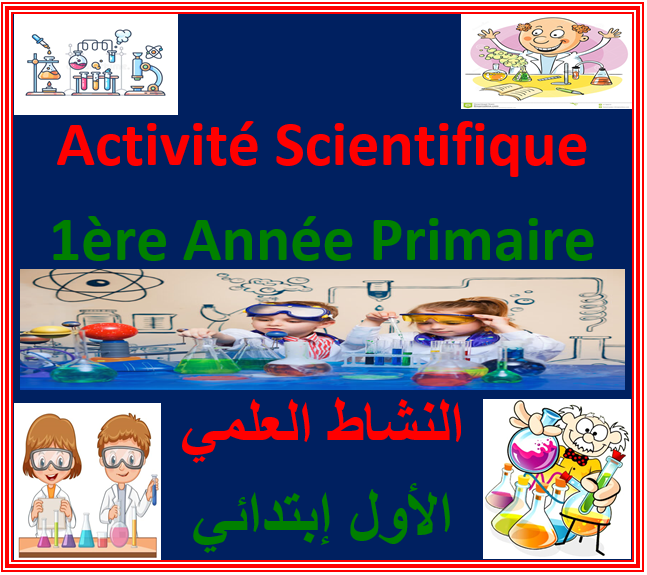 Activité Scientifique 1ère Année Primaire