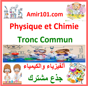 Physique et Chimie Tronc Commun Scientifique